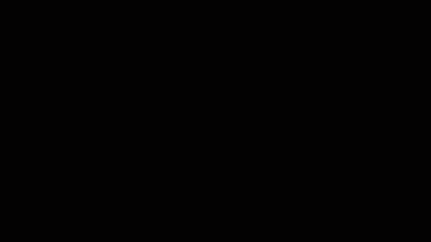 Gif Object Testing