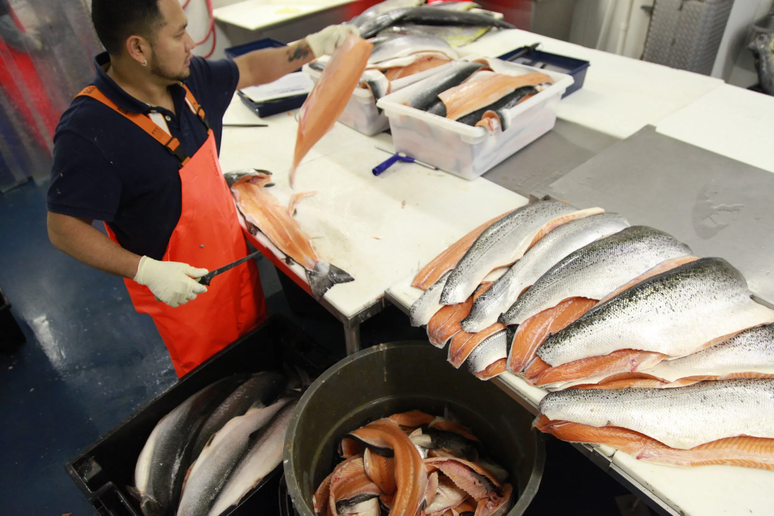 A worker is filleting salmon in the fish factory owned by ProFish Ltd., in Washington, D.C., on Dec. 7, 2015.